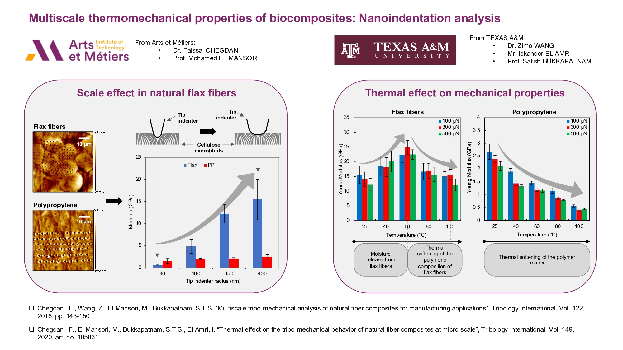 Multiscale thermomechanical properties of biocomposites: Nanoindentation analysis | Events AM2