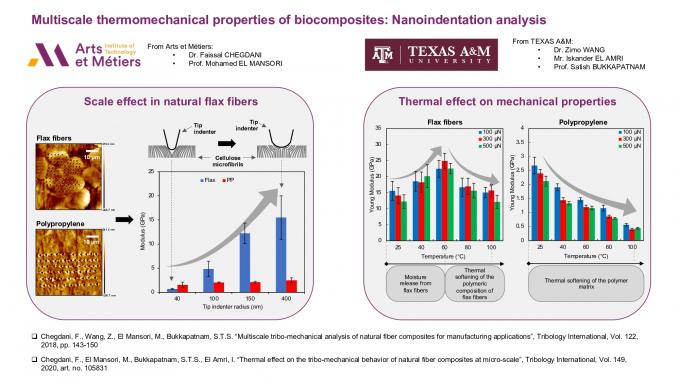 Multiscale thermomechanical properties of biocomposites: Nanoindentation analysis | Joint works AM2